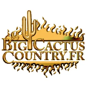 Big Cactus كانتري راديو نبض