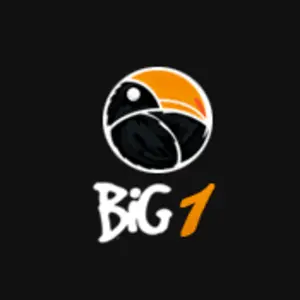 Big راديو 1 راديو