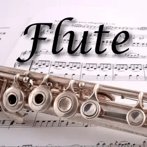 CALM راديو - Flute مباشر