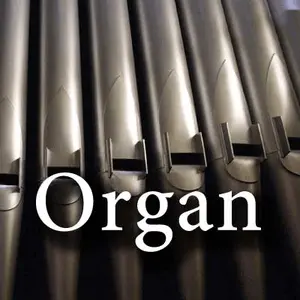 CALM راديو - Organ إف إم