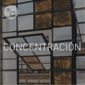 CONCENTRACIÓN - CALM راديو Zen أونلاين