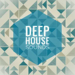 Deep هاوس Sounds نبض