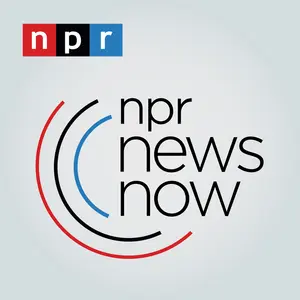 NPR 24 إف إم