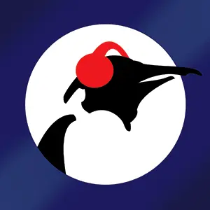 Pinguin بلوز مباشر