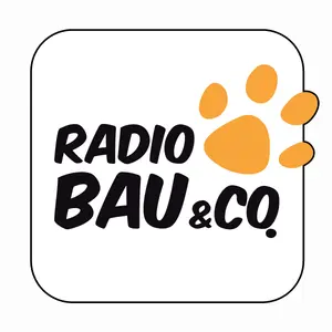 راديو 105 - Bau & Co راديو