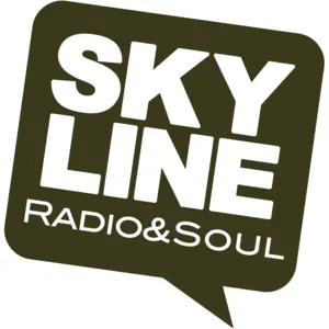 Skyline راديو & سول مركز