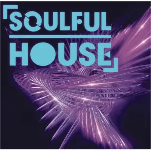 Soulful هاوس أونلاين
