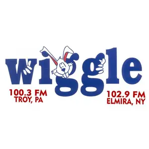 WHGL-إف إم - Wiggle 100.3 بث