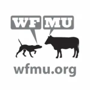 WMFU إف إم 91.1 موجة
