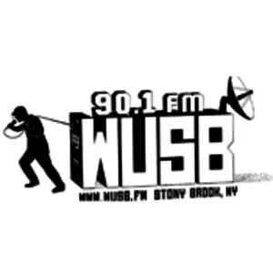 WUSB 90.1 إف إم نبض